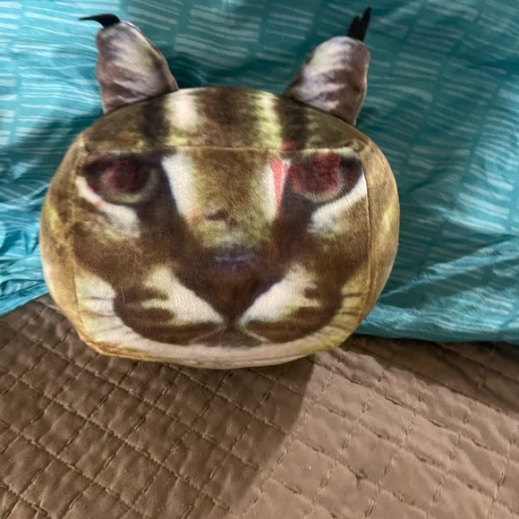 Roblox raise a Floppa cat . - Picture 10 of 11